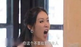 明星爆料袁姗姗视频播放,揭秘明星背后的真实生活