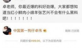 卓伟真实爆料赵丽颖视频,视频内容揭秘