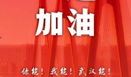 今日淮阳新闻我要爆料,今日爆料聚焦民生焦点