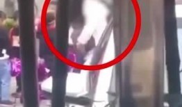 东坡爆料视频在线观看,独家揭秘幕后真相，带你领略真实一面