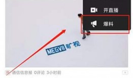 爆料视频在哪看到的,爆料视频来源及背后故事