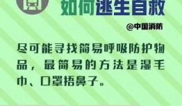 地铁逃生数据手册最新爆料,最新数据手册曝光逃生关键要点