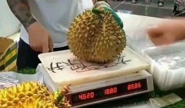 女子爆料买榴莲视频,揭秘榴莲选购与食用技巧