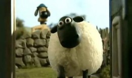 小羊爆料最新视频在线观看,精彩瞬间在线揭晓