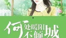 吃瓜娱乐太太是谁呀小说,揭开小说中的神秘面纱