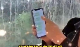 张兰爆料语音视频在线观看,揭秘背后惊人真相