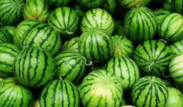 吃瓜群免费观看,吃瓜群带你领略影视盛宴