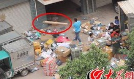 济南快递最新爆料,揭秘行业变革与快递新趋势