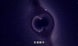 爆料宇宙真相视频大全,爆料视频大全深度解析
