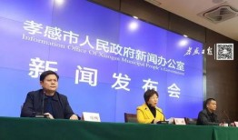 孝感市新闻爆料,惊险救援，孝感市民众齐心协力守护家园