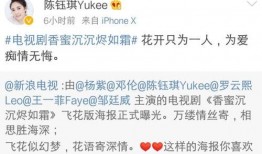 爆料杨紫发微博了吗视频,视频爆料引发热议