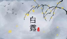 白露爆料视频,娱乐圈幕后真相大曝光