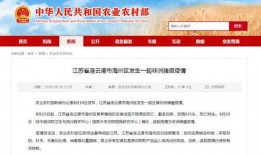 今日农村爆料大全新闻,聚焦乡村热点，揭示民生真相