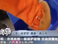 不明身份手机在线观看,揭秘网络世界的未知面纱
