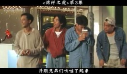 湾仔之虎在线观看,揭秘香港黑帮传奇的在线观影指南