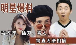 大瓜明星爆料视频下载,独家下载与幕后真相曝光