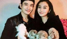 杨颖向黄晓明父母爆料视频,杨颖向黄晓明父母爆料视频引发热议