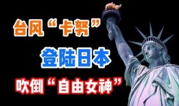 自由女神爆料视频大全下载,视频大全下载背后的故事与真相