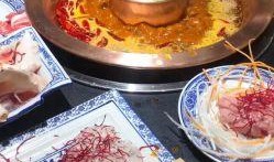 温州美食爆料视频播放下载,视频播放下载，尽享地道风味