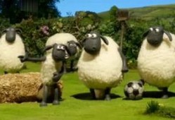 小羊爆料最新视频在线观看,精彩瞬间在线揭晓