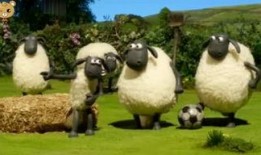 小羊爆料最新视频在线观看,精彩瞬间在线揭晓