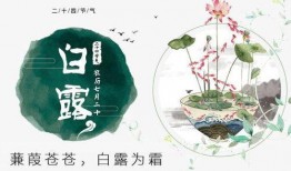 白露爆料视频,娱乐圈幕后真相大曝光