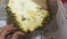 网友爆料榴莲视频,揭秘热带果王背后的神秘面纱