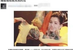 陈赫哈妮克孜爆料视频播放,揭秘背后真相