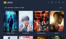 爆料近期视频大全集下载,下载攻略与精彩内容抢先看