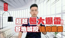 爆料高密城投事件视频,视频曝光背后的真相与争议