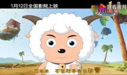 喜洋洋最新爆料消息视频