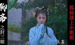 聊斋狐仙在线观看,穿越时空的奇幻邂逅