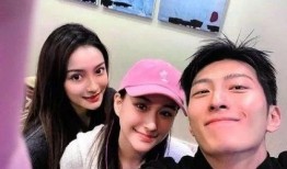 圈内爆料何超莲视频合集,揭秘明星日常与甜蜜瞬间