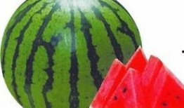西瓜爆料泰蜜的视频大全,泰蜜视频大全精彩瞬间大盘点