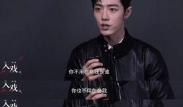 娱乐大爆料肖战赵丽颖,娱乐大爆料幕后故事揭晓