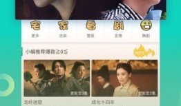 大勇爆料视频大全最新版,揭秘热点事件，洞察社会真相