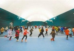 石家庄体育馆爆料视频,揭秘幕后真相与精彩瞬间