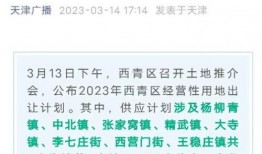 天津生活大爆料最新消息,最新动态盘点，揭秘城市新鲜事