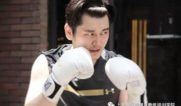 刘威爆料刘松子视频播放,真相与争议