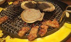 温州美食爆料视频播放下载,视频播放下载，尽享地道风味