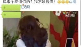 李沁黄景瑜圈内爆料,幕后故事大曝光