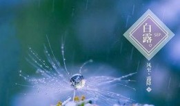 白露爆料视频,娱乐圈幕后真相大曝光