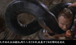 冲哥爆料鲛鱼视频,鲛鱼视频背后的惊人真相