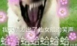 吃瓜画饼摸鱼视频大全免费观看,免费观看吃瓜画饼摸鱼视频大全，笑料连连，欢乐无限