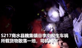 网友爆料河南修仙事件视频,神秘视频引发网友热议，揭秘民间奇闻异事