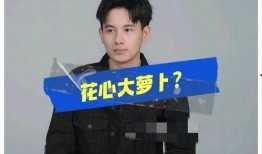 演员谈恋爱爆料视频,明星恋情曝光幕后真相